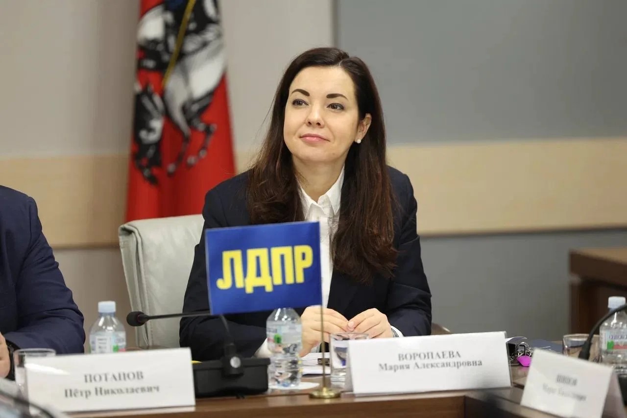 ЛДПР предлагает упростить доступ к маткапиталу на ремонт: помощь семьям без бюрократических ловушек